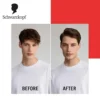 Schwarzkopf - Taft V12 Power Gel Speed Hold 12